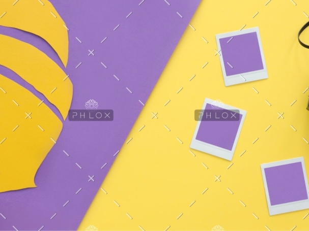 demo-attachment-38-retro-camera-and-mockup-photos-PBGDPCN